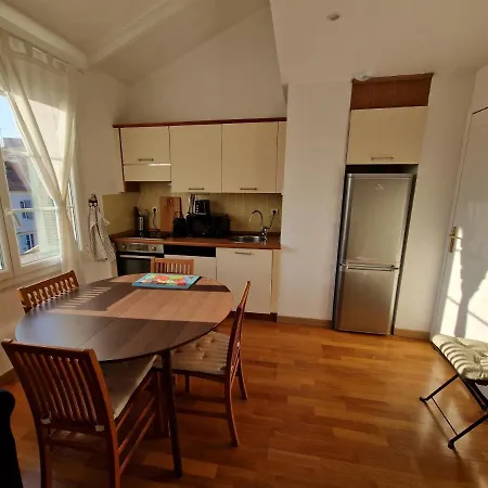 Le Michelangelo - Place Massena Appartement