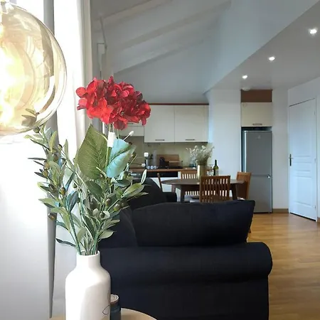 Appartement Le Michelangelo - Place Massena